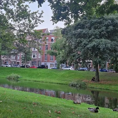 The Lilly House * Rotterdam